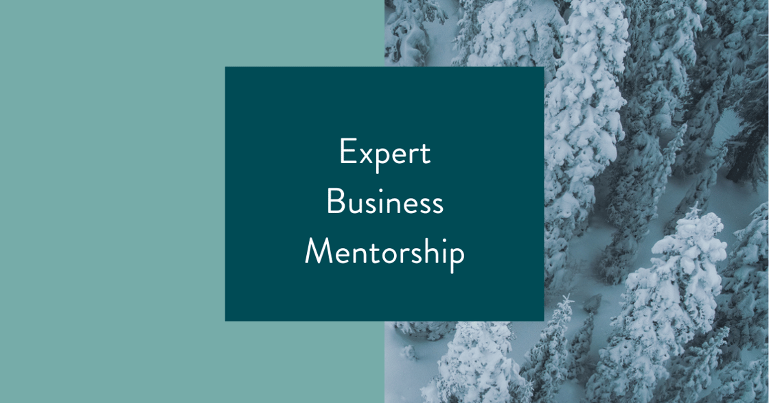 Expert Business Mentorship-1